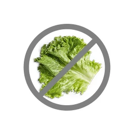 NO Lettuce