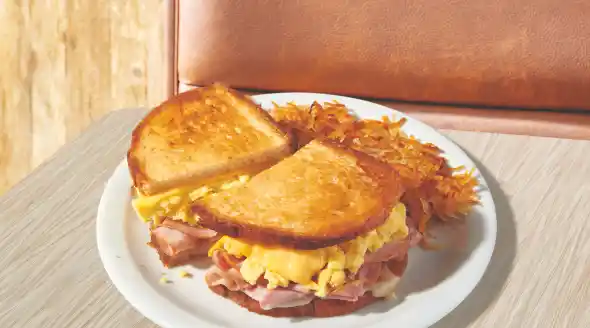 Homepage 63 Moons Over My Hammy